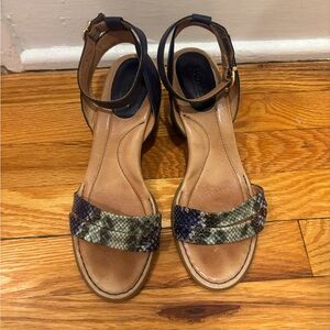 Born “Frilli” Blue Snakeskin Heels